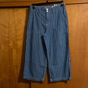 Seven Blue and White Pinstriped Pants